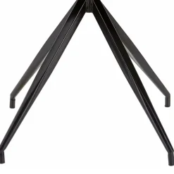 2 Stühle Esszimmer Cherry*Pharao24 Best