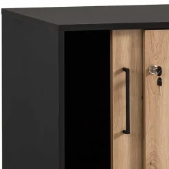 Aktenschrank Vrando*Pharao24