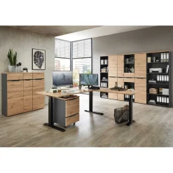 Online Arbeitszimmermöbel 9teilig Esdravos Büromöbel Sets
