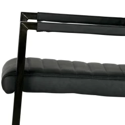 Armlehnen Freischwinger Davadus Polstermöbel|Lederstühle