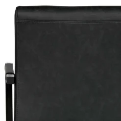 Armlehnen Freischwinger Davadus Polstermöbel|Lederstühle