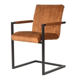 Best Armlehnen Freischwinger Levisa Küchenstühle|Esszimmerstühle