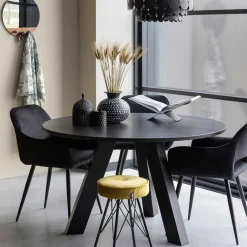 Armlehnenstühle Vellindro*Pharao24