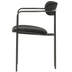 Armlehner Botein*Pharao24 Sale