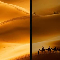 Blickdichter Paravent Anzarote*Pharao24 Sale