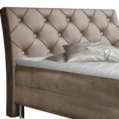 Box Bett Faviconda*Pharao24