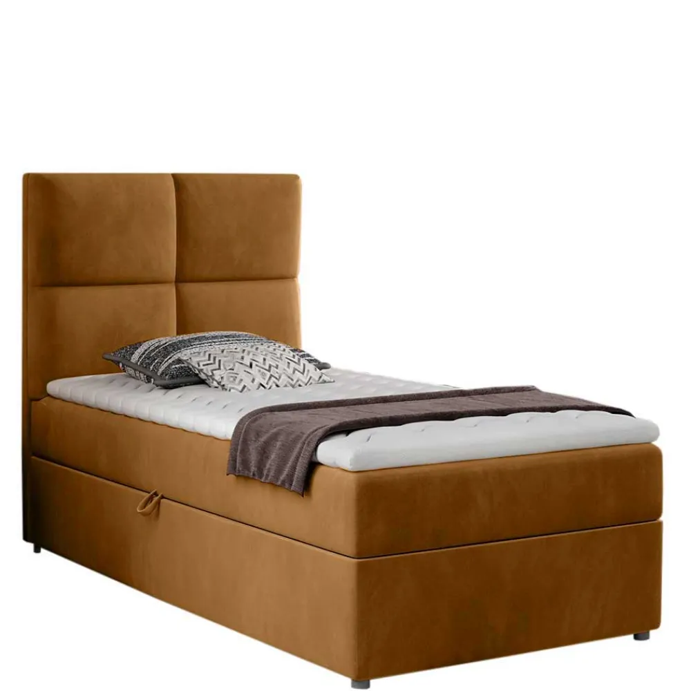 Box Bett Zenya*Pharao24 Best
