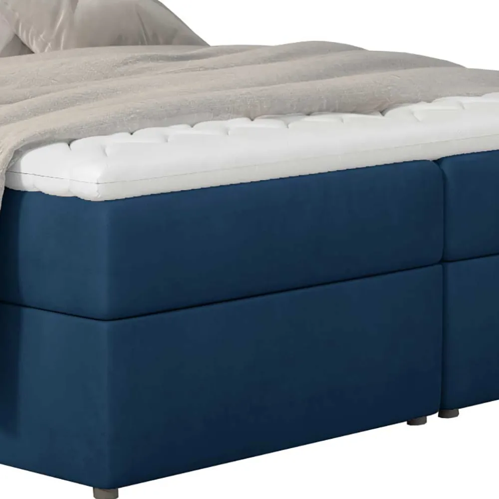 Boxbett Amrosa*Pharao24