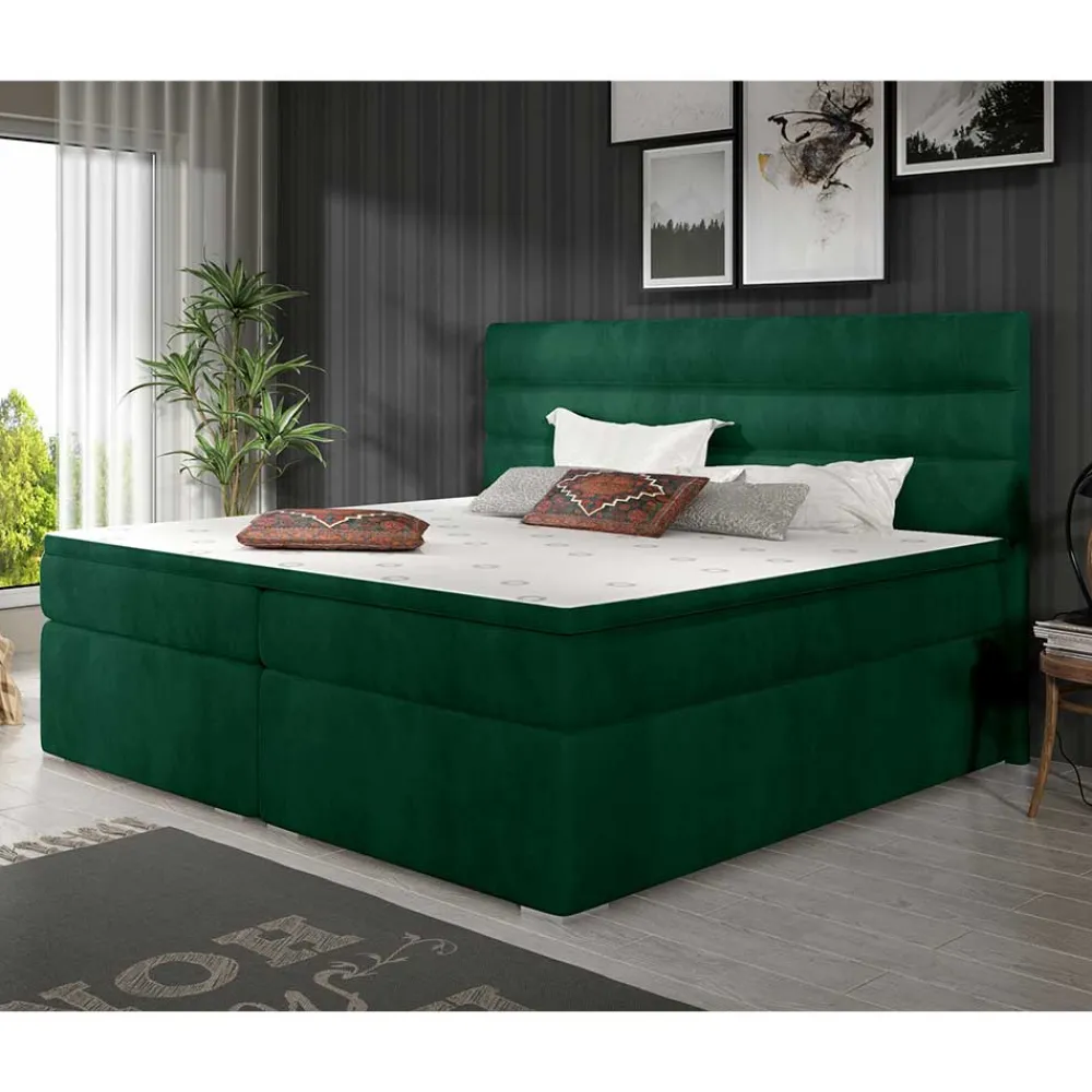 Boxbett Barahoma*Pharao24 Hot