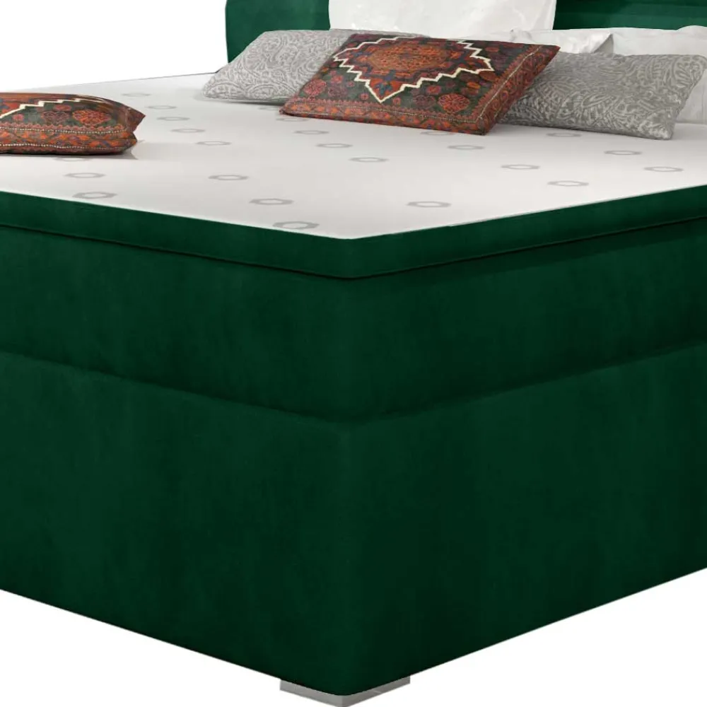 Boxbett Barahoma*Pharao24 Hot