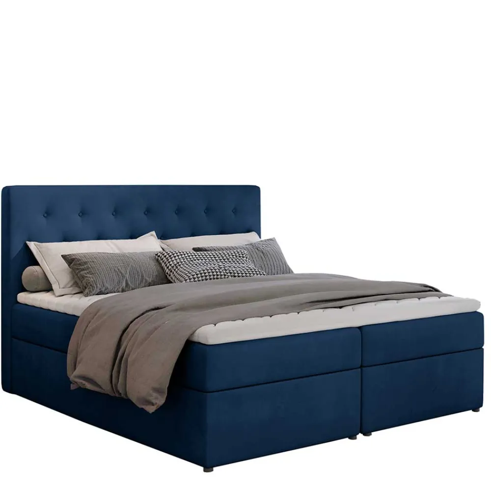 Boxbett Selrito*Pharao24 Hot