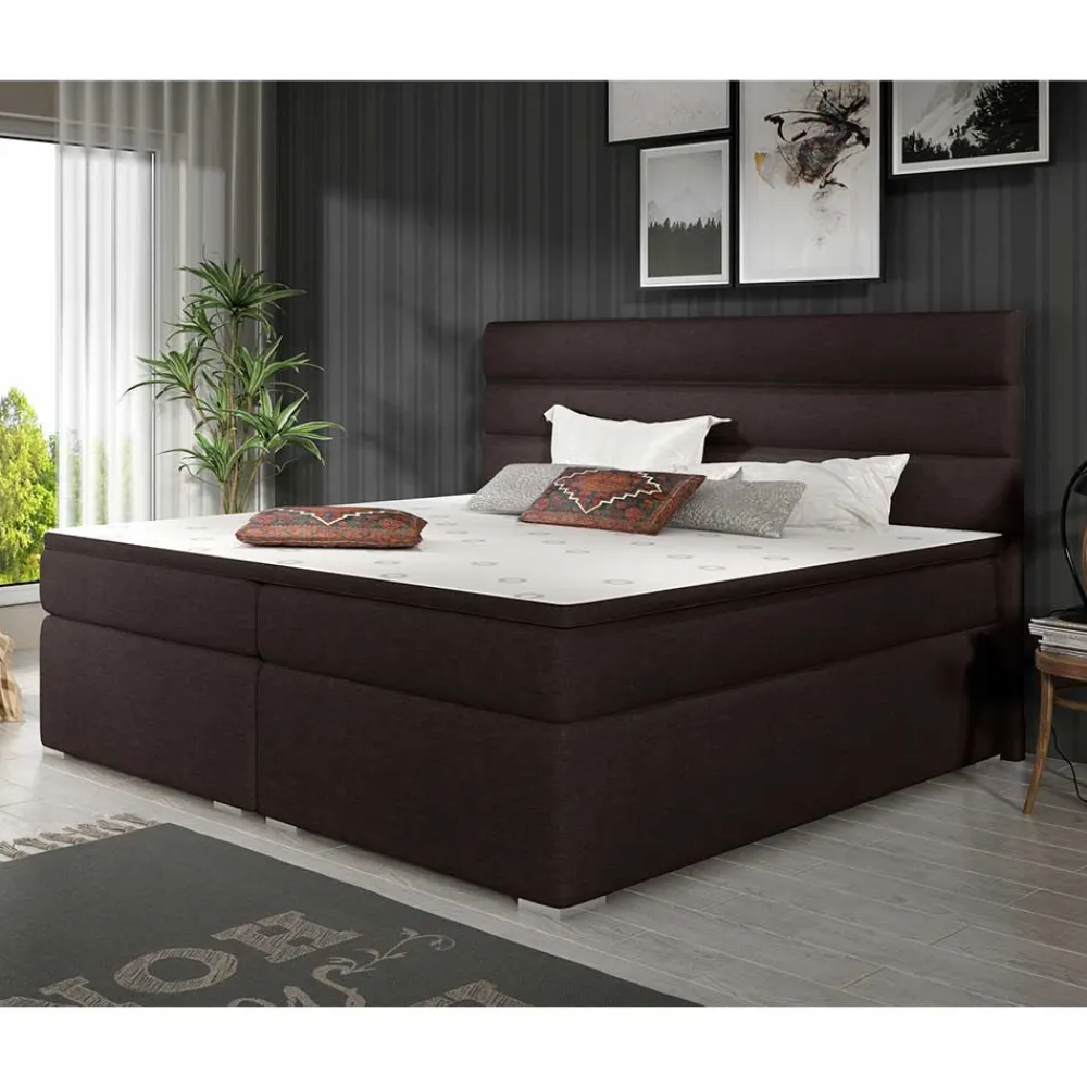 Best Boxbetten Logion Funktionsbetten|Schubkastenbetten