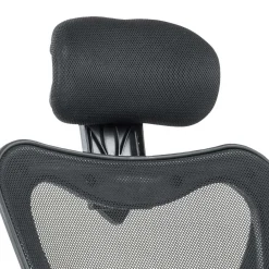 Bürodrehstuhl Janita*Pharao24 Best