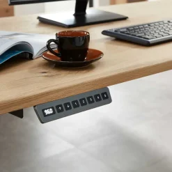 Outlet Büroschreibtisch Carsons Schreibtische