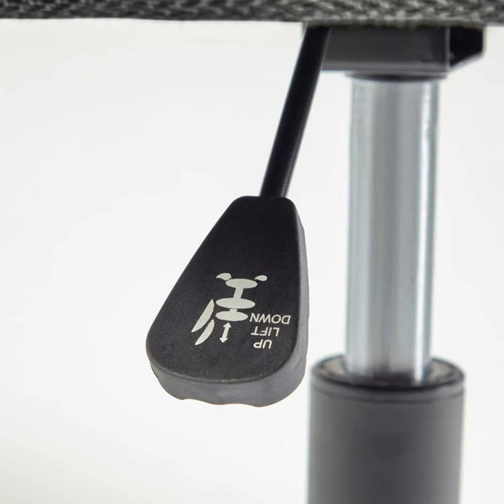 Drehstuhl mit Armlehnen Triumph*Pharao24 New