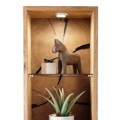 Echtholz Regal Camilla*Pharao24 Hot