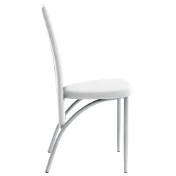 Sale Esstisch Stühle Jandaria Hochlehner|Lederstühle