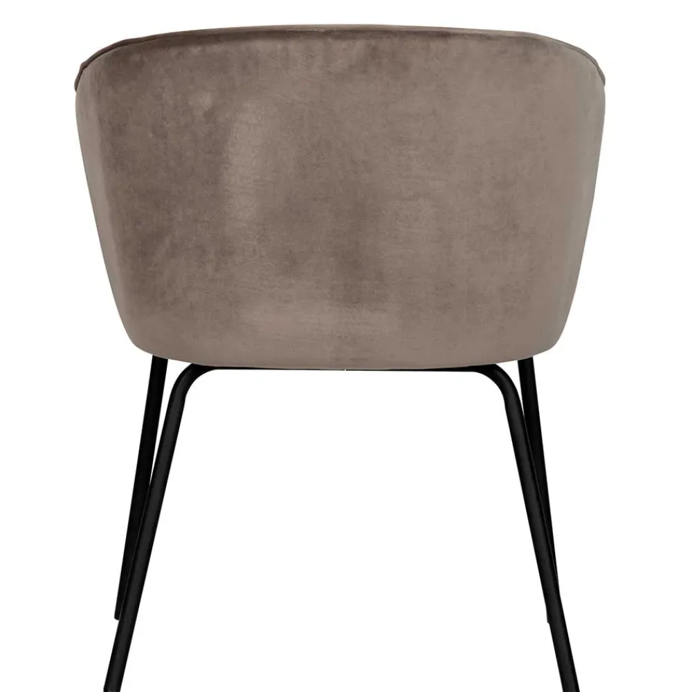 Esszimmer Polsterstühle Ilka*Pharao24 New