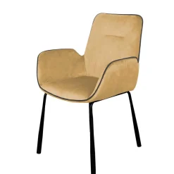 Esszimmerarmlehnstuhl Edeline*Pharao24