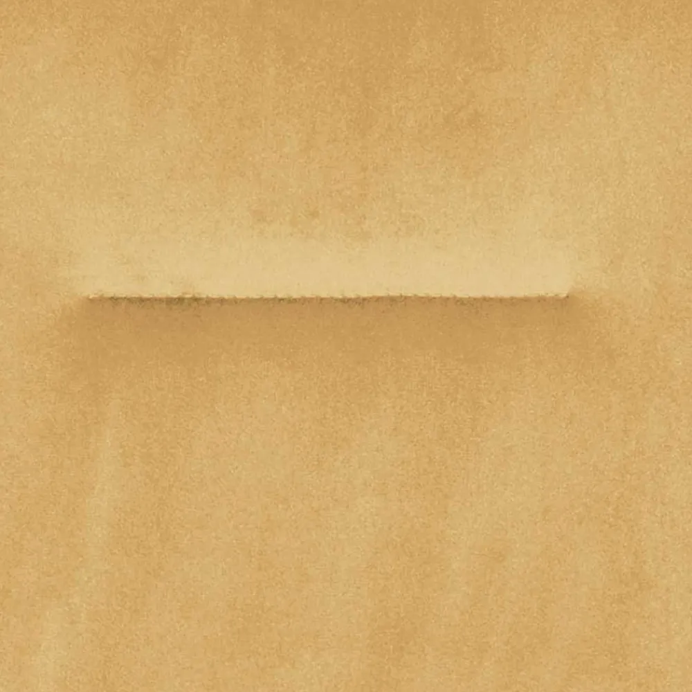 Esszimmerarmlehnstuhl Edeline*Pharao24