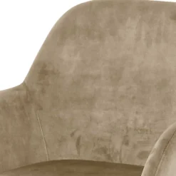 Esszimmerarmlehnstuhl Set Danatura*Pharao24 Hot