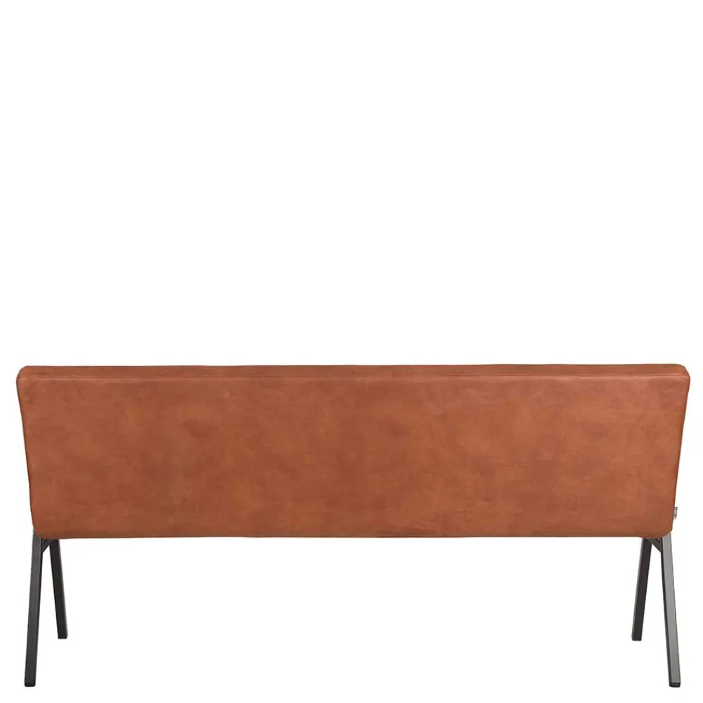 Esszimmersitzbank Durantus*Pharao24 Discount