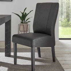 New Esszimmerstühle Tresian Hochlehner|Lederstühle