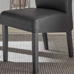 New Esszimmerstühle Tresian Hochlehner|Lederstühle