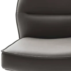 Esszimmerstuhl Baselta Hochlehner|Lederstühle