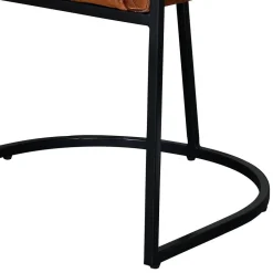 Discount Esszimmerstuhl Orelia Esszimmersessel|Lederstühle