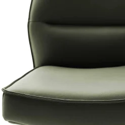 Discount Esszimmerstuhl Scoddo Hochlehner|Lederstühle