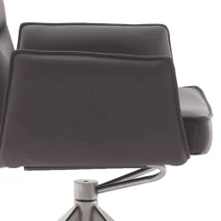 Sale Esszimmerstuhl Xorian Lederstühle|Esszimmersessel