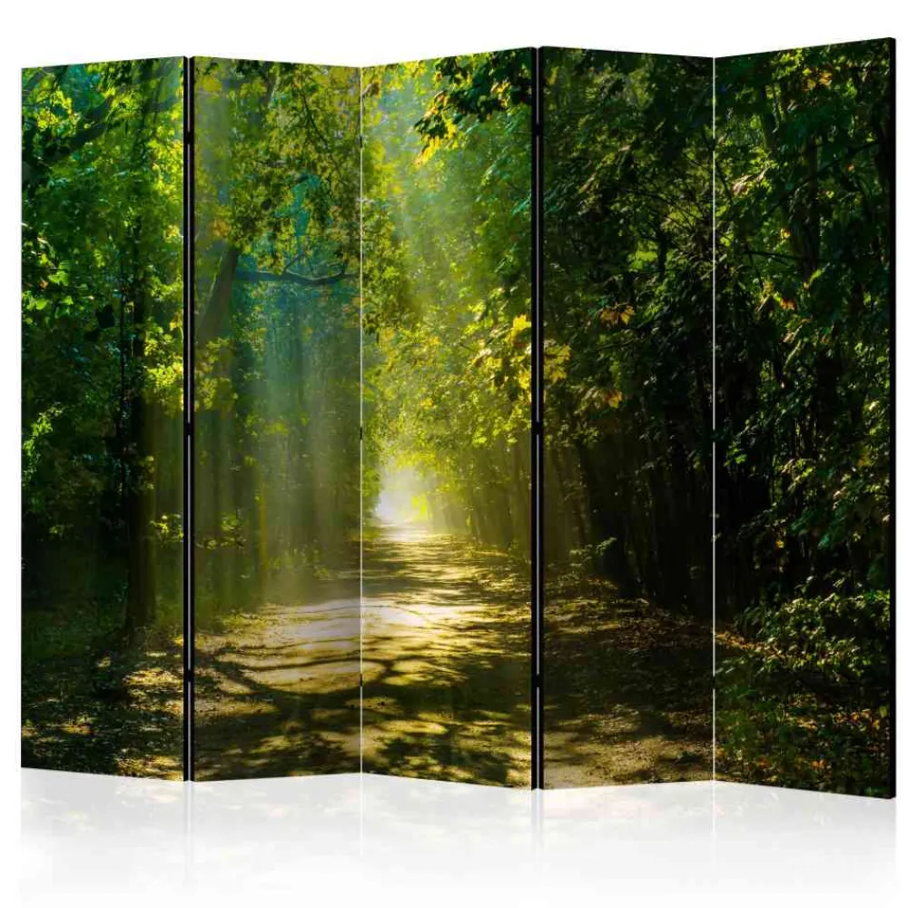 Hot Falt Paravent Ciery Raumteiler|Paravents