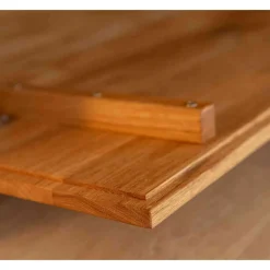 Fernsehlowboard Rusaly*Pharao24 New