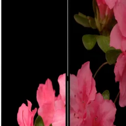 Outlet Fotodruck Paravent Marlyna Paravents|Raumteiler