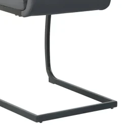 Freischwingerstuhl Buono*Pharao24 New