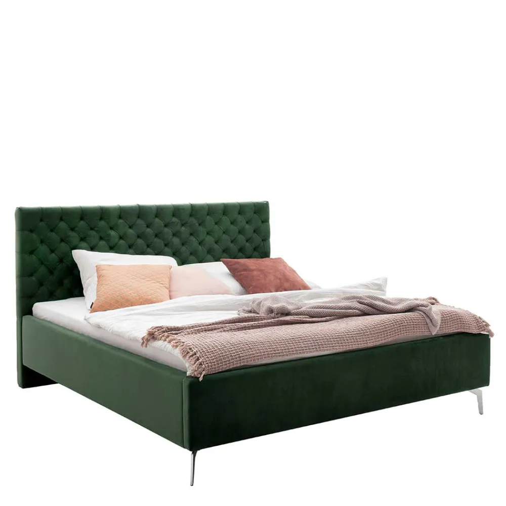Gepolstertes Bett Colora*Pharao24 Outlet