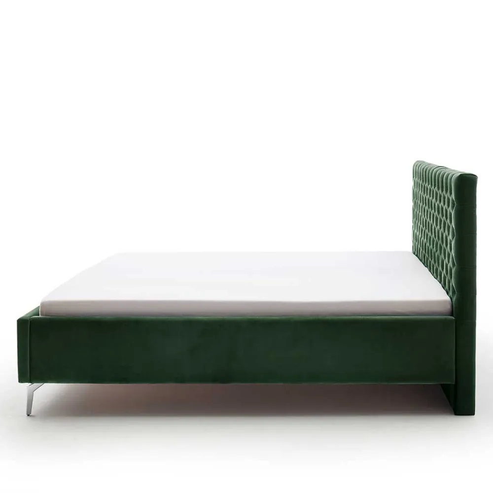 Gepolstertes Bett Colora*Pharao24 Outlet