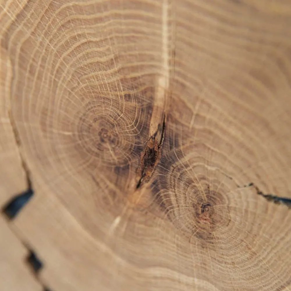 Sale Highbord Tenna Stauraumvitrinen|Highboards