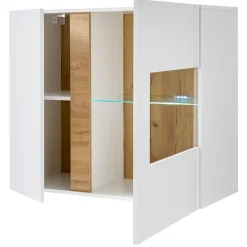 Online Hängevitrine Franvos Wandvitrinen