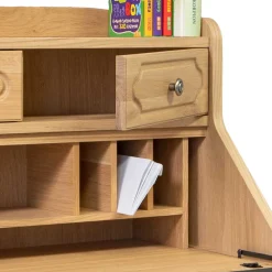 Home Office Sekretär Calbilan*Pharao24