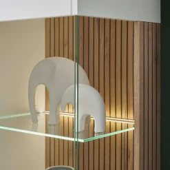 Moderner Wohnzimmervitrinenschrank Saladd*Pharao24 Hot