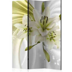 Paravent Adalberto*Pharao24 Best