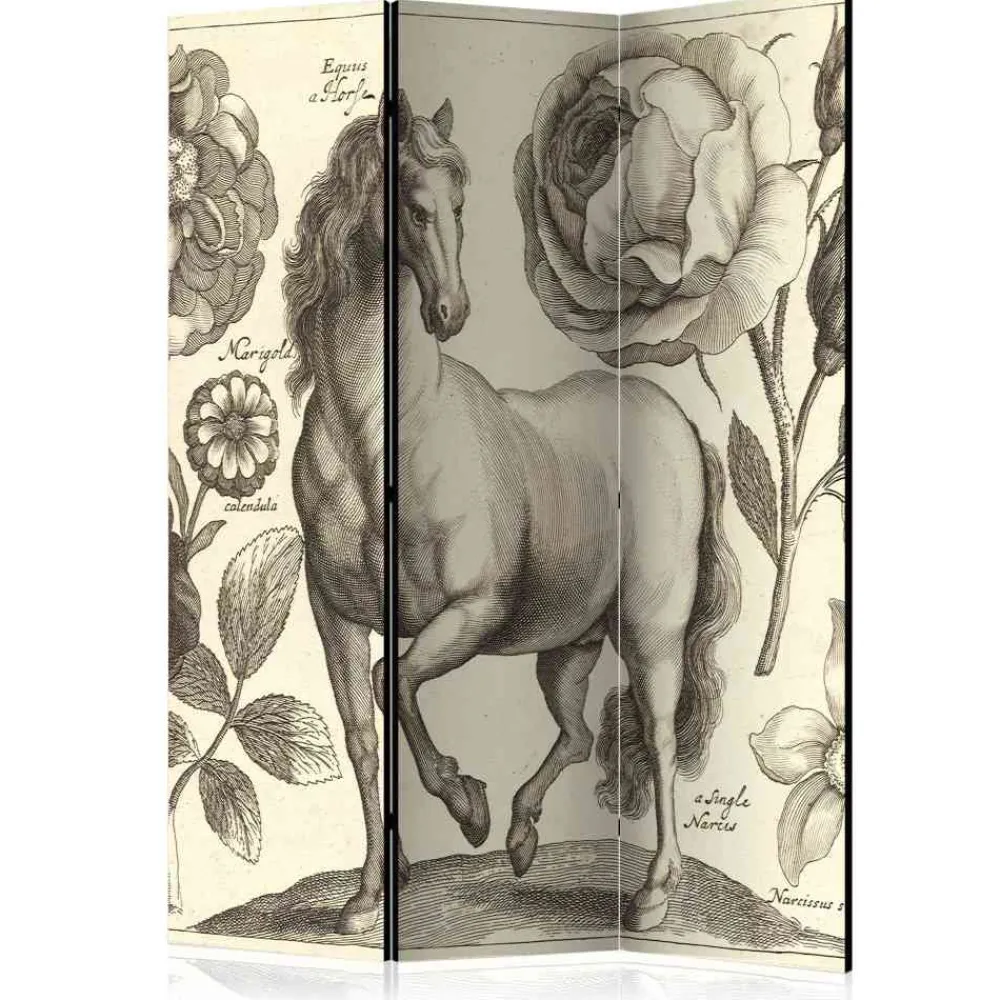 Paravent Berenice*Pharao24 Hot