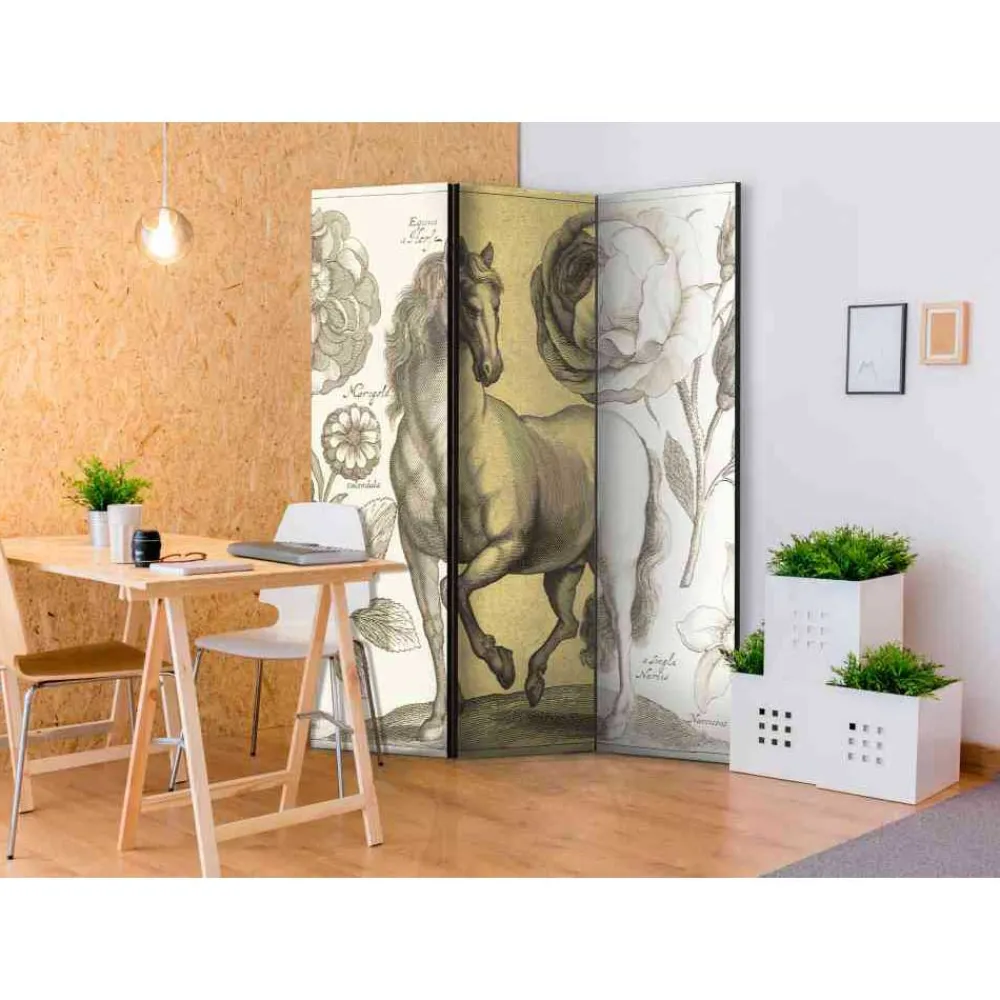 Paravent Berenice*Pharao24 Hot