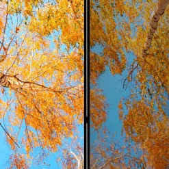 New Paravent Duben Paravents|Raumteiler