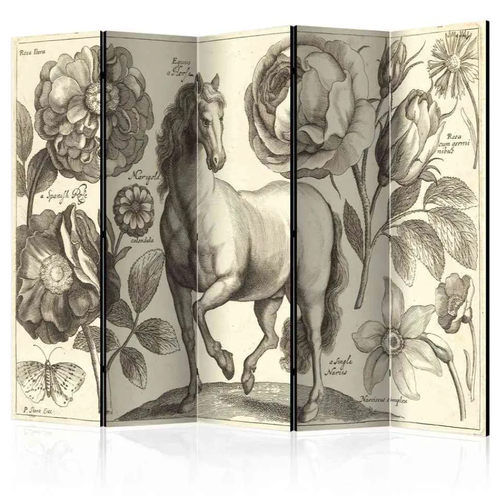 Paravent Edance*Pharao24 New