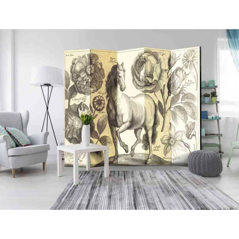 Paravent Edance*Pharao24 New