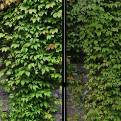 Paravent Mauer Optik Curtis*Pharao24 New