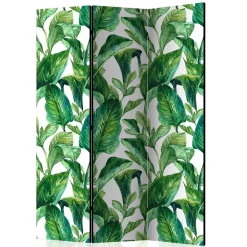 Paravent Mexicano*Pharao24 Online